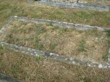 image of grave number 151497